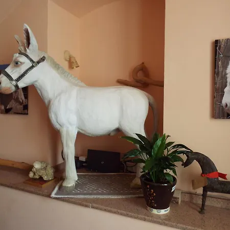Panzió White Donkey Cuglieri
