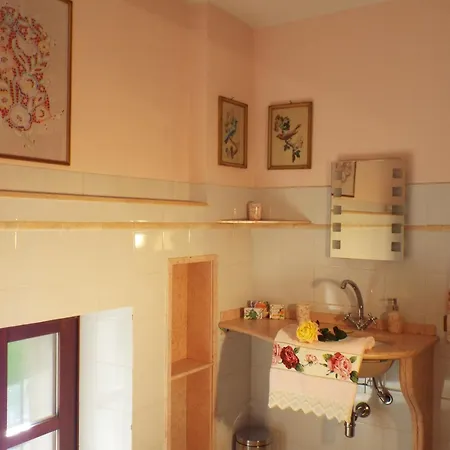White Donkey 3*