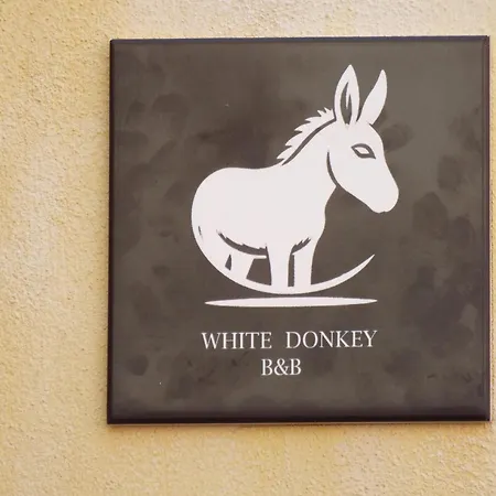 Panzió White Donkey Cuglieri