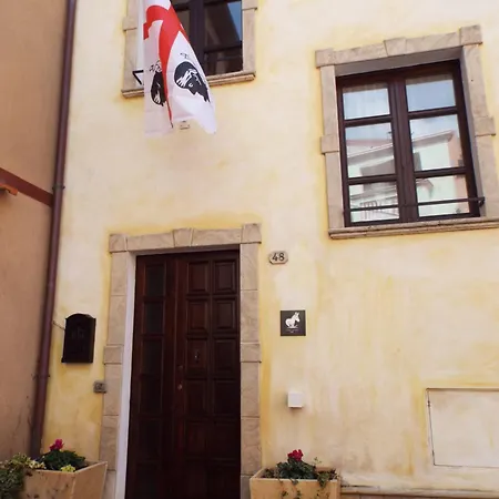 White Donkey Cuglieri